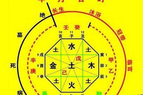 喜神忌神查询|生辰八字算命、五行喜用神查询（免费测算）